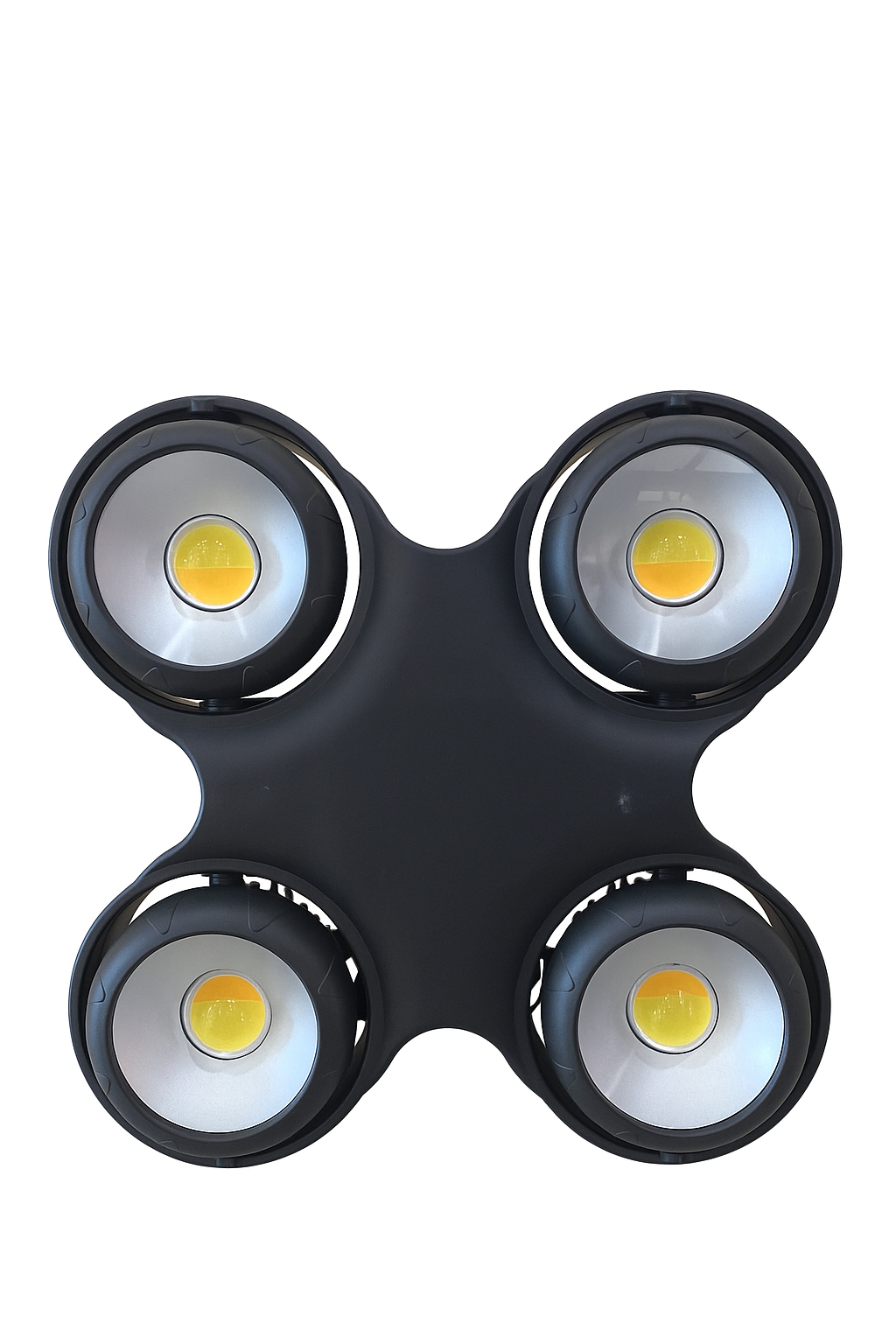 LIT010